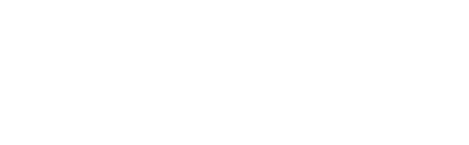 Logo ECSA