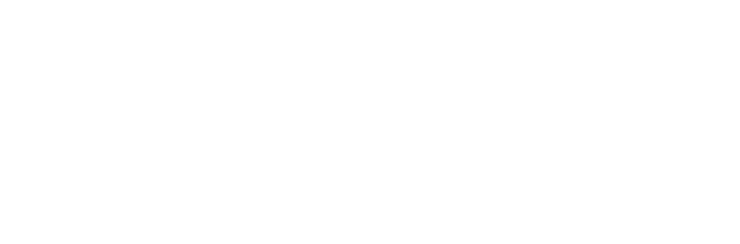Logo Poliniza DOS